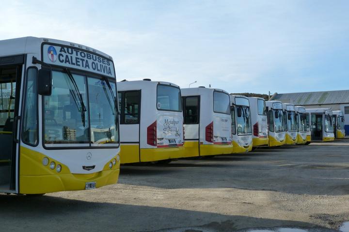 autobuses (4)