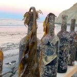 Sacaron vinos que estuvieron 6 meses a 11 metros de profundidad
