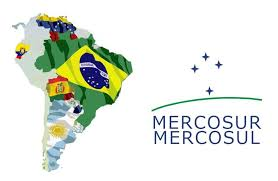 Sesiona en Paraguay cita de pueblos indígenas de Mercosur