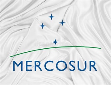 Mercosur y la Unión Europea: ¿Una Alianza Estratégica o un Riesgo Asimétrico?