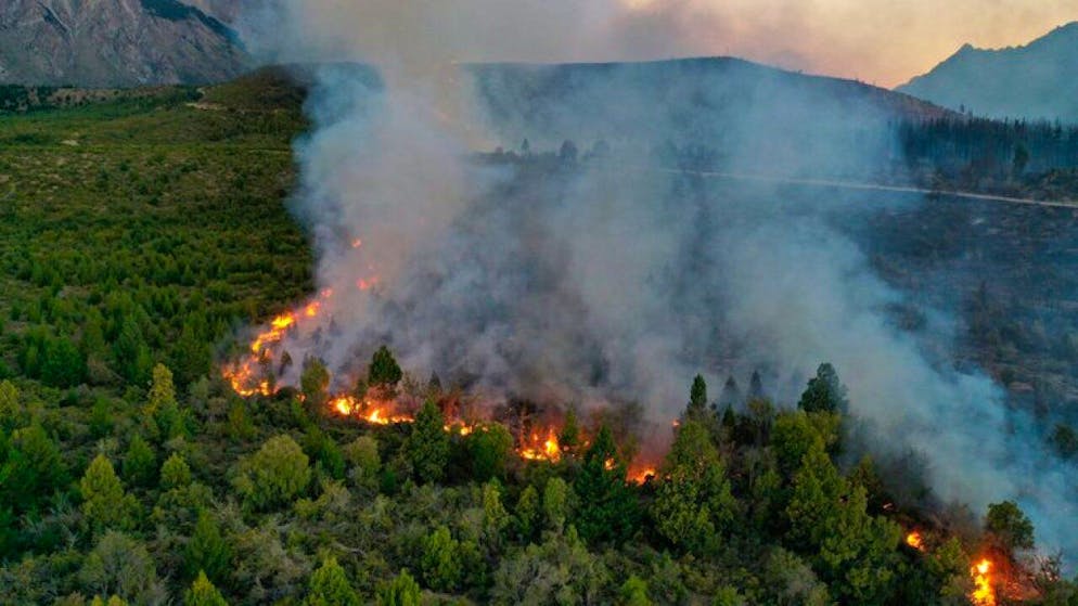 Un muerto en incendios forestales en la Patagonia