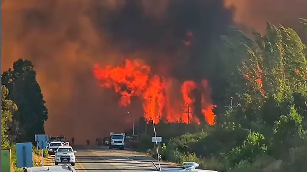 «Todo lo que veíamos era fuego avanzando»: el duro relato de un vecino de Mallín Ahogado por el incendio