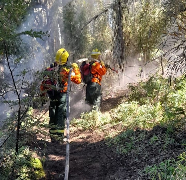 Brigadistas santacruceños en la primera línea de fuego en el Parque Nacional Lanín