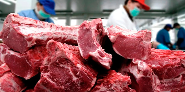 Análisis del Aumento de Precios de la Carne Bovina en Argentina