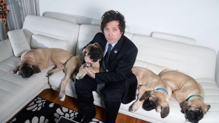 Conan y los Clones: La Nueva Política Canina de Javier Milei