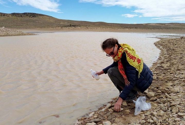 Informan exitosa finalización del programa inicial de exploración en Proyecto minero El Águila