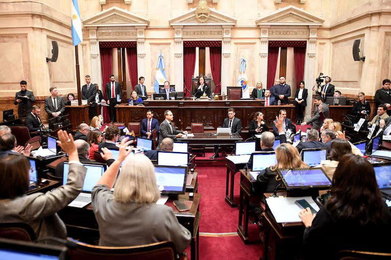 Constitucionalistas advierten que Milei no podrá frenar en la Justicia las leyes aprobadas por el Senado