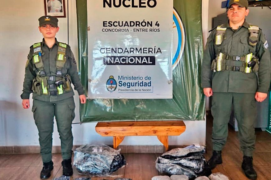 Desbaratan red de narcotráfico que enviaba más de 8 kilos de marihuana a Santa Cruz mediante encomiendas
