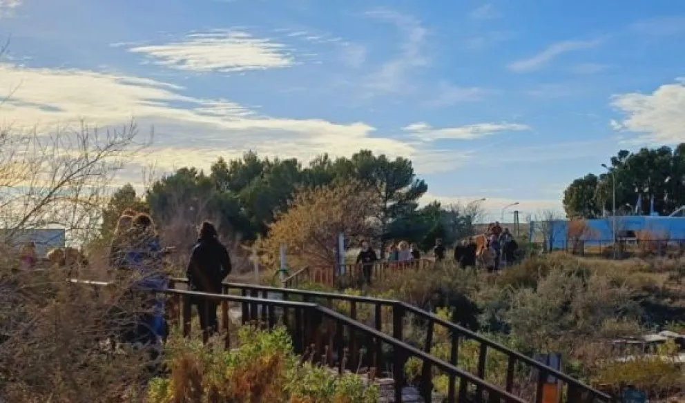 Luciano Ávila, director del Jardín Botánico de la Patagonia extrandina: «Nuestra idea es preservar la flor nativa»