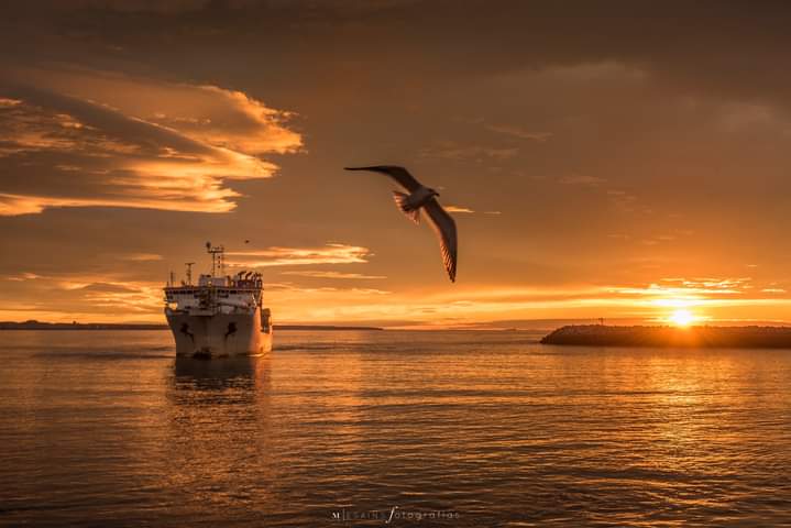 Los Desafíos del Desarrollo Territorial