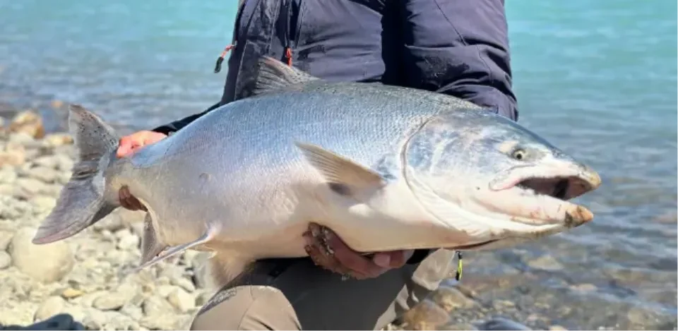 Un vecino de El Calafate ganó el torneo de pesca en la Fiesta del Salmón Chinook
