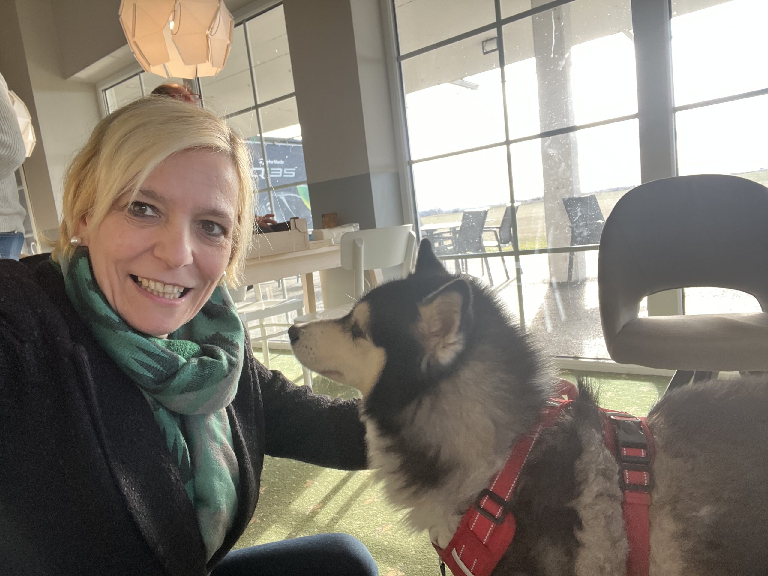 Tienen Alma los animales? La respuesta bíblica